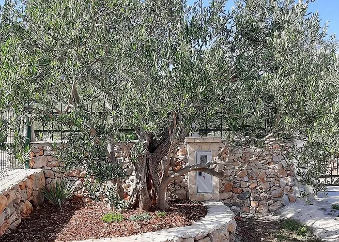 Kuca Za Odmor Bozena